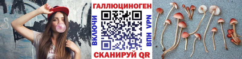 blacksprut зеркало Болхов Псилоцибиновые грибы мухоморы