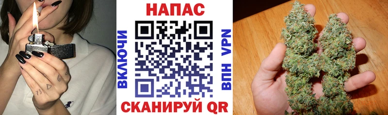 где купить наркоту  Болхов  Канабис сатива 